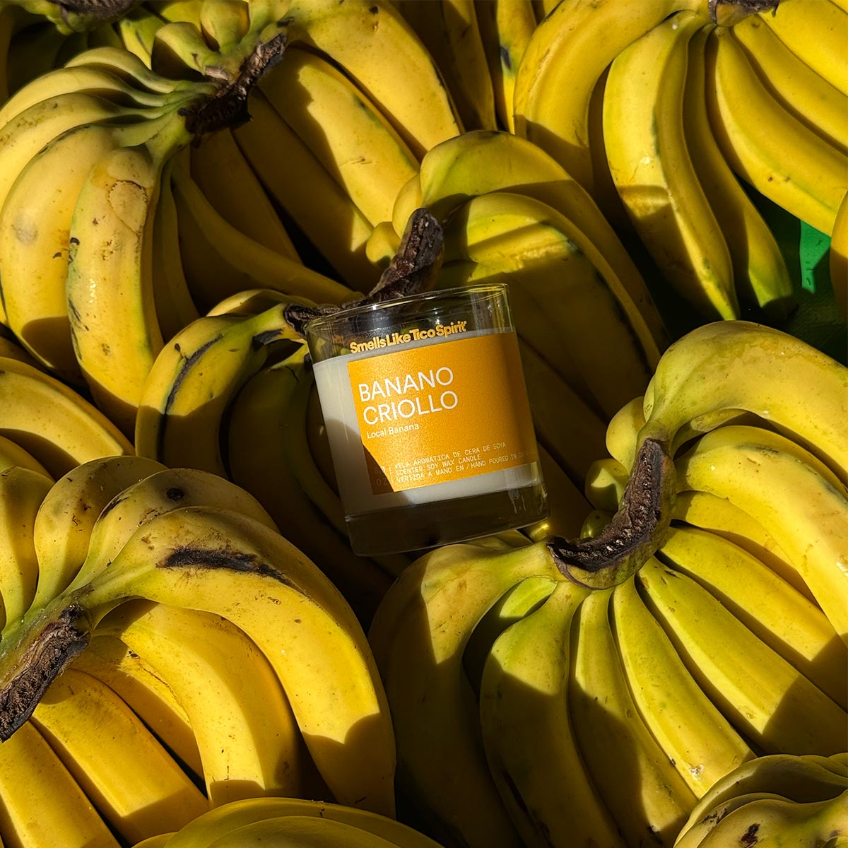 BANANO CRIOLLO